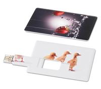 CHIAVETTA USB FORMATO CARTA